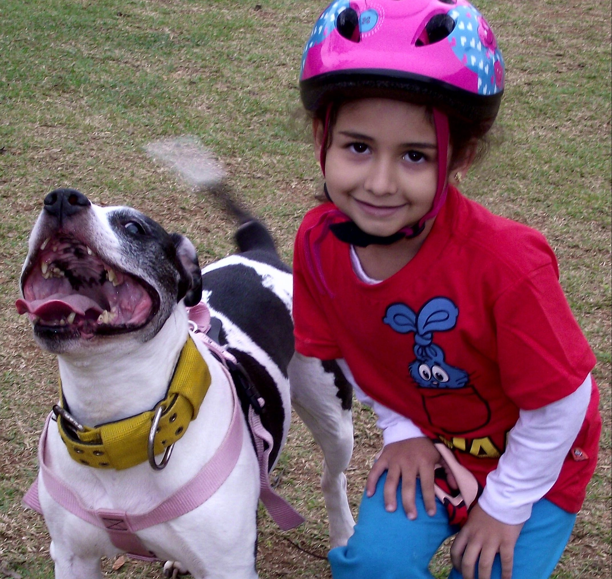 Entrevista: Comportamento Animal, Saiba mais