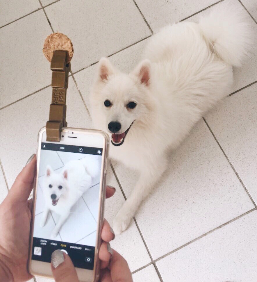 Empreendedor cria acessório para você tirar selfies perfeitas com o seu cachorro
