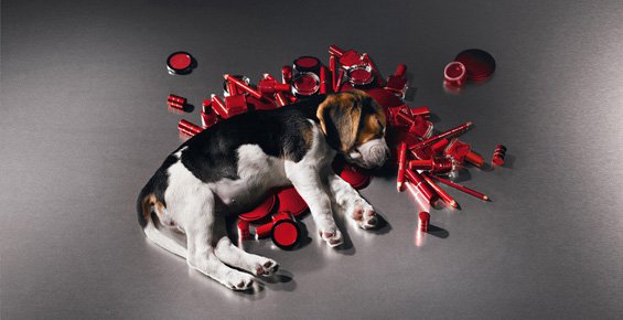 Quantas vidas vale um batom?